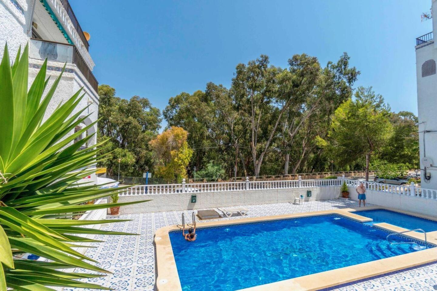 Playa Flamenca Splendid Apartment On The Beach Alicante Exteriér fotografie